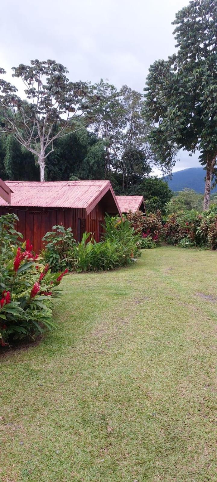 Cabinas La Catarata La Fortuna Extérieur photo